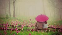 pic for Couple Under Pink Umbrella 